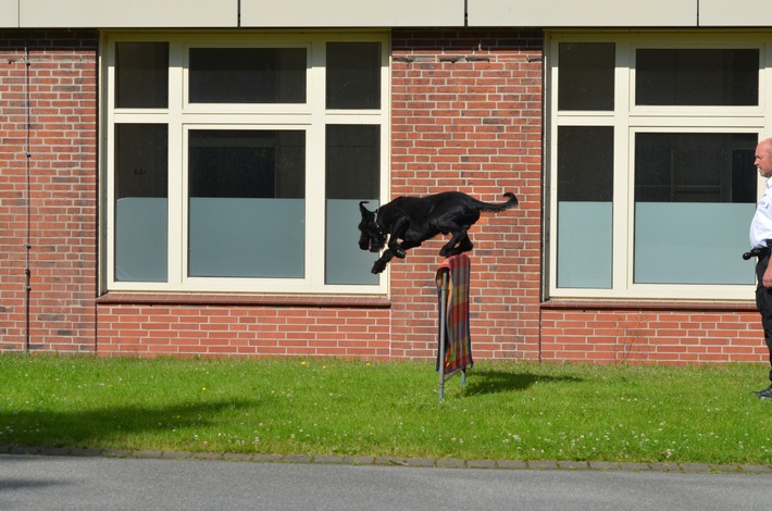 POL-FL: Polizeidirektion Flensburg - Polizeihunde bestehen jährliche Prüfungen