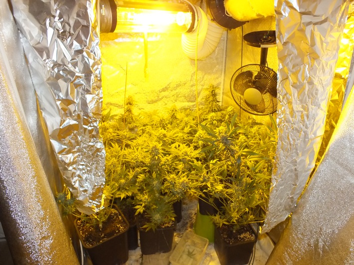 POL-SE: Tornesch - Polizei stellt Cannabisplantage sicher