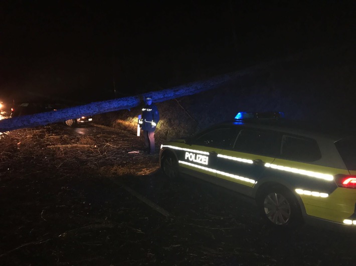 POL-HM: Sturmtief Thomas entwurzelt einen Baum - Kreisstraße 50 komplett gesperrt