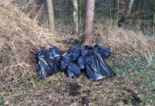 POL-NI: Drogen-Indoorplantage im Wald entsorgt - Polizei hofft auf Zeugenhinweise