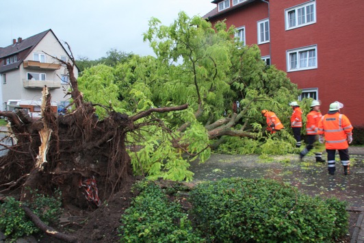 POL-HM: Zahlreiche Einsätze durch Sturmtief "Zeljko" in den Landkreisen Hameln-Pyrmont und Holzminden