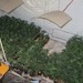 POL-F: 150709 - 517 Eckenheim: Indoor-Plantage gefunden