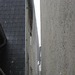 POL-SE: Elmshorn: Gut gemeint  aber schlecht gemacht - Schutz vor Tauben wird zur Falle für Vögel - Polizei will sensibilisieren