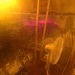 POL-NI: Indoorplantage ausgehoben