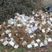 POL-NI: Drogen-Indoorplantage im Wald entsorgt - Polizei hofft auf Zeugenhinweise