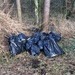 POL-NI: Drogen-Indoorplantage im Wald entsorgt - Polizei hofft auf Zeugenhinweise