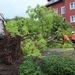 POL-HM: Zahlreiche Einsätze durch Sturmtief "Zeljko" in den Landkreisen Hameln-Pyrmont und Holzminden