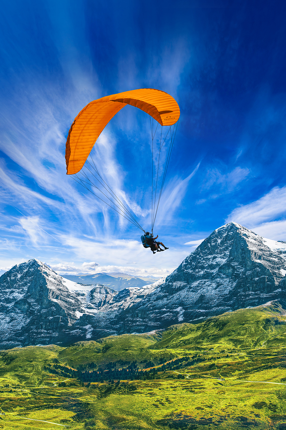 Download Lebe den tag For iPhone Free Lebe Den Tag