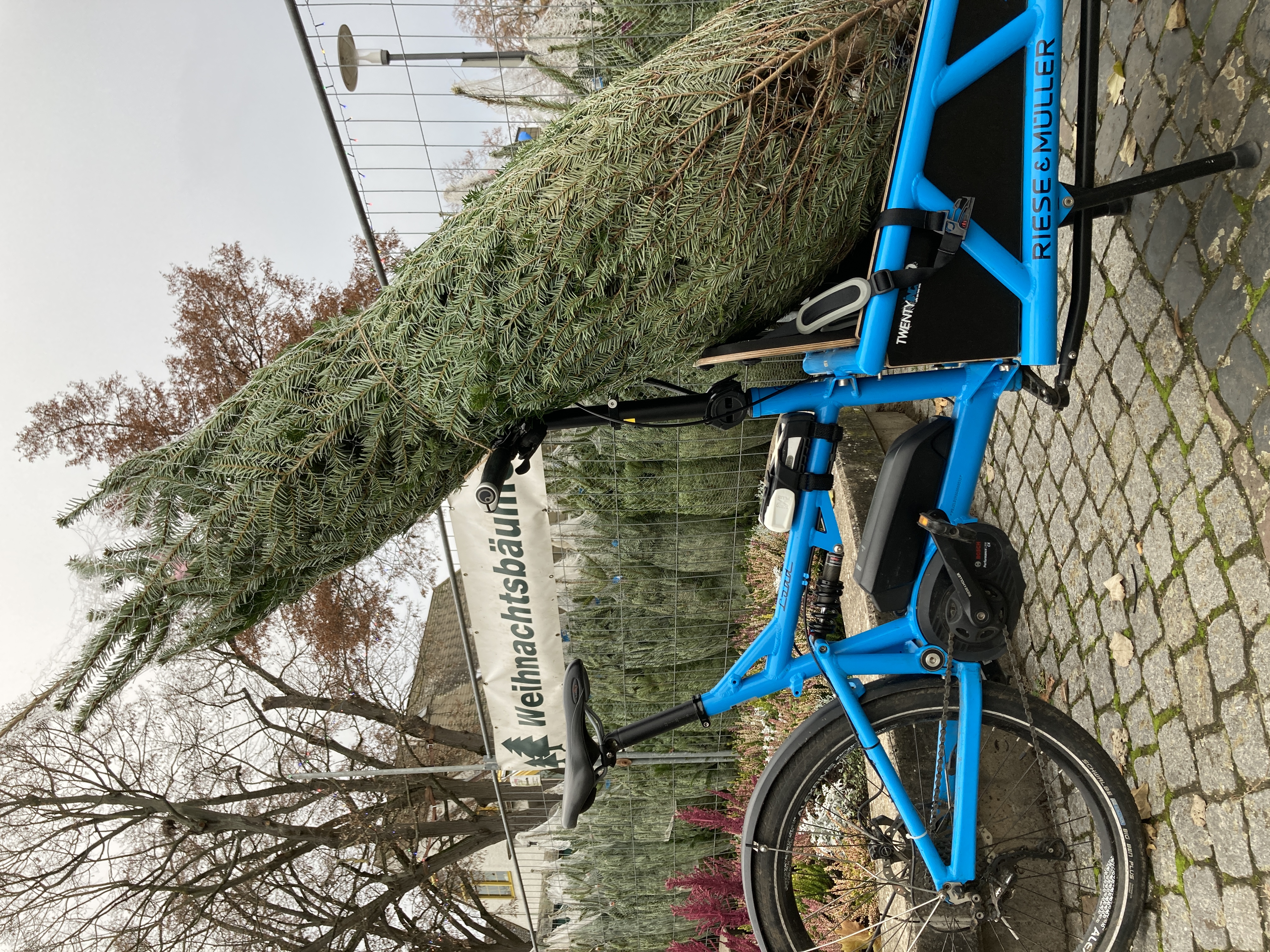 ADAC-Tipps: Weihnachtsbaum sicher transportieren » Wir sind MüritzerWir  sind Müritzer
