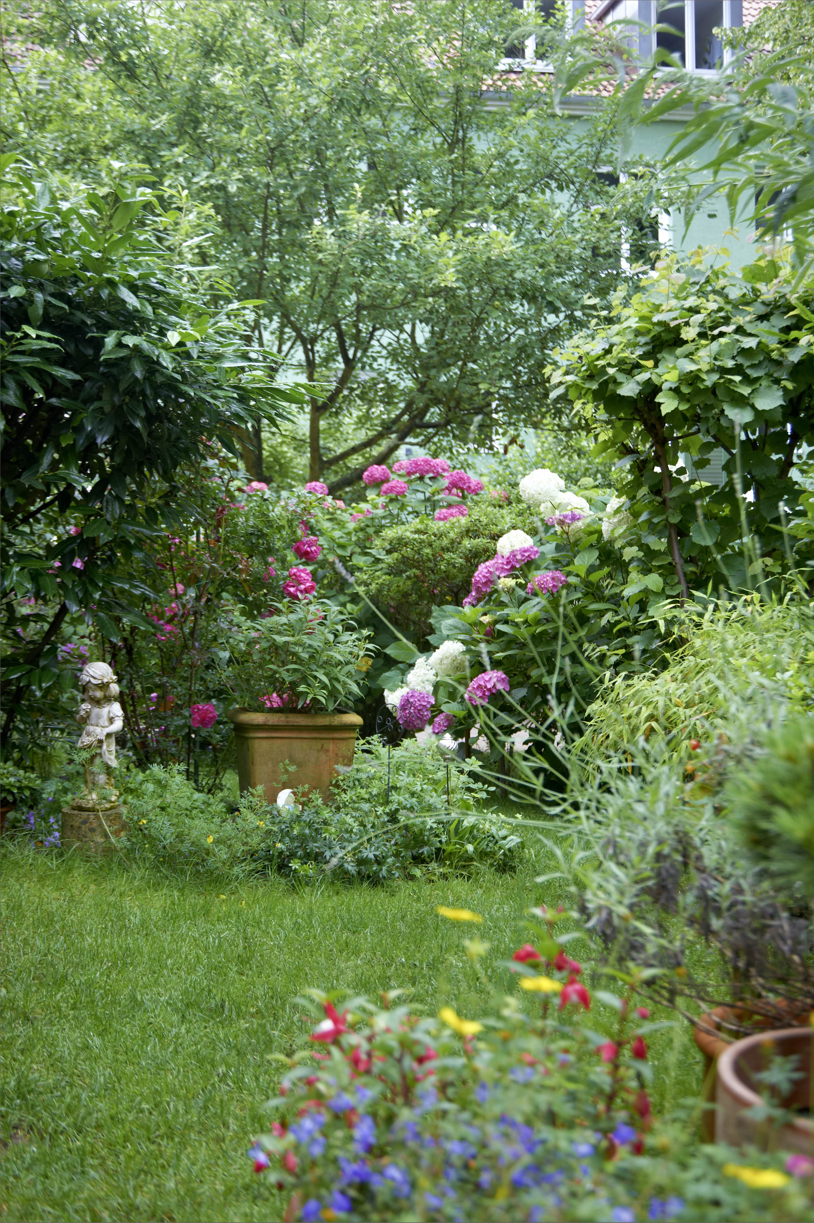 Entsteint Euch Grune Vorgarten Anstatt Grauer Kiesflachen Presseportal