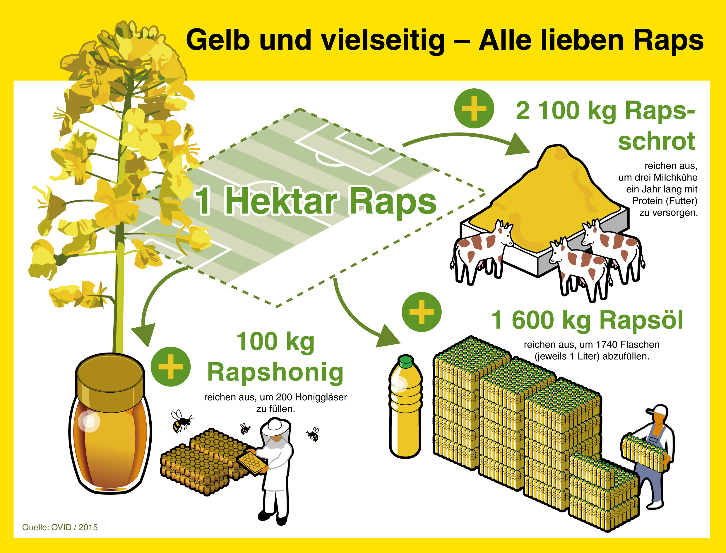 Raps ist vielseitig und macht glücklich Presseportal