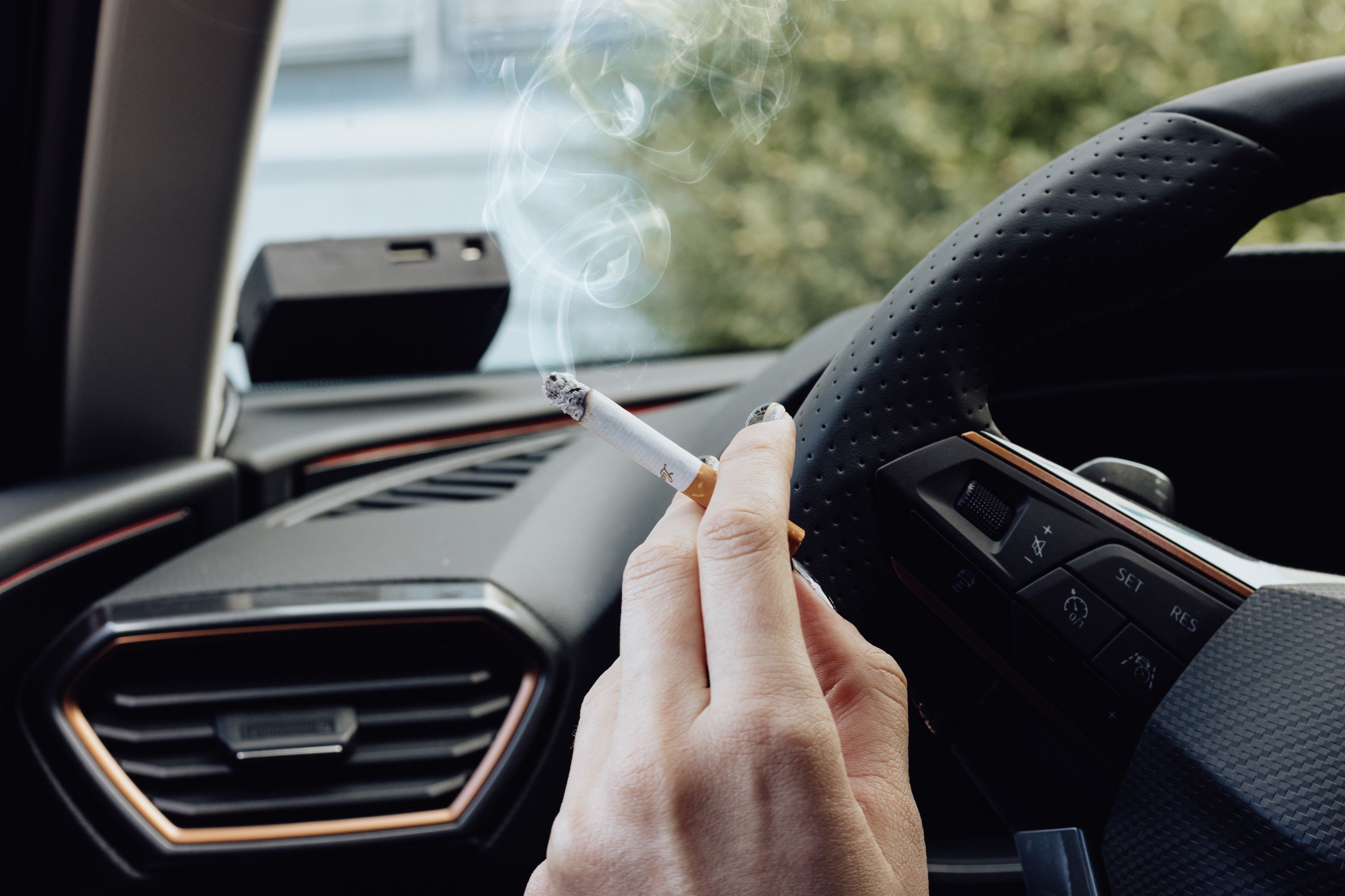 hhc vape in der nähe kaufen ELRO Rauchmelder 10 Jahr Batterie, Magnethalter