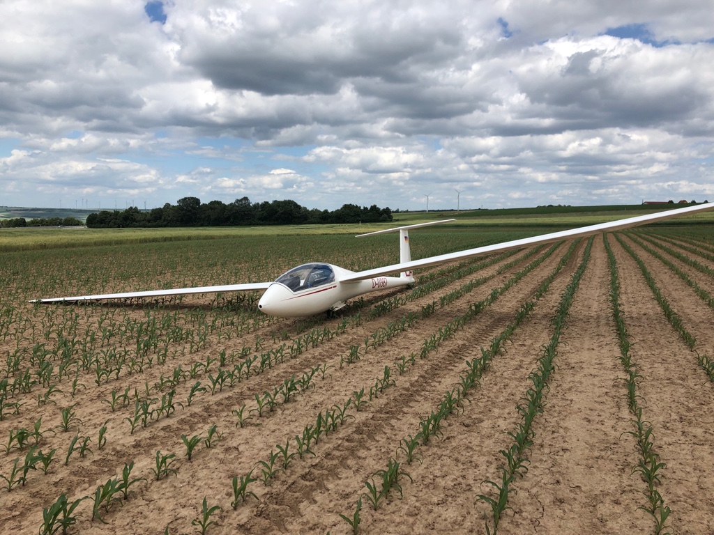 Notlandung eines Segelfliegers im Feld