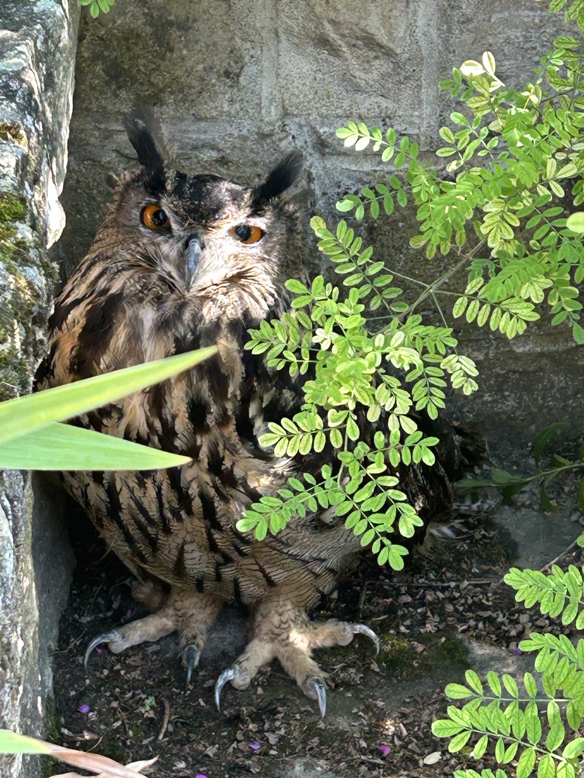 Elizabeth lopez desnuda