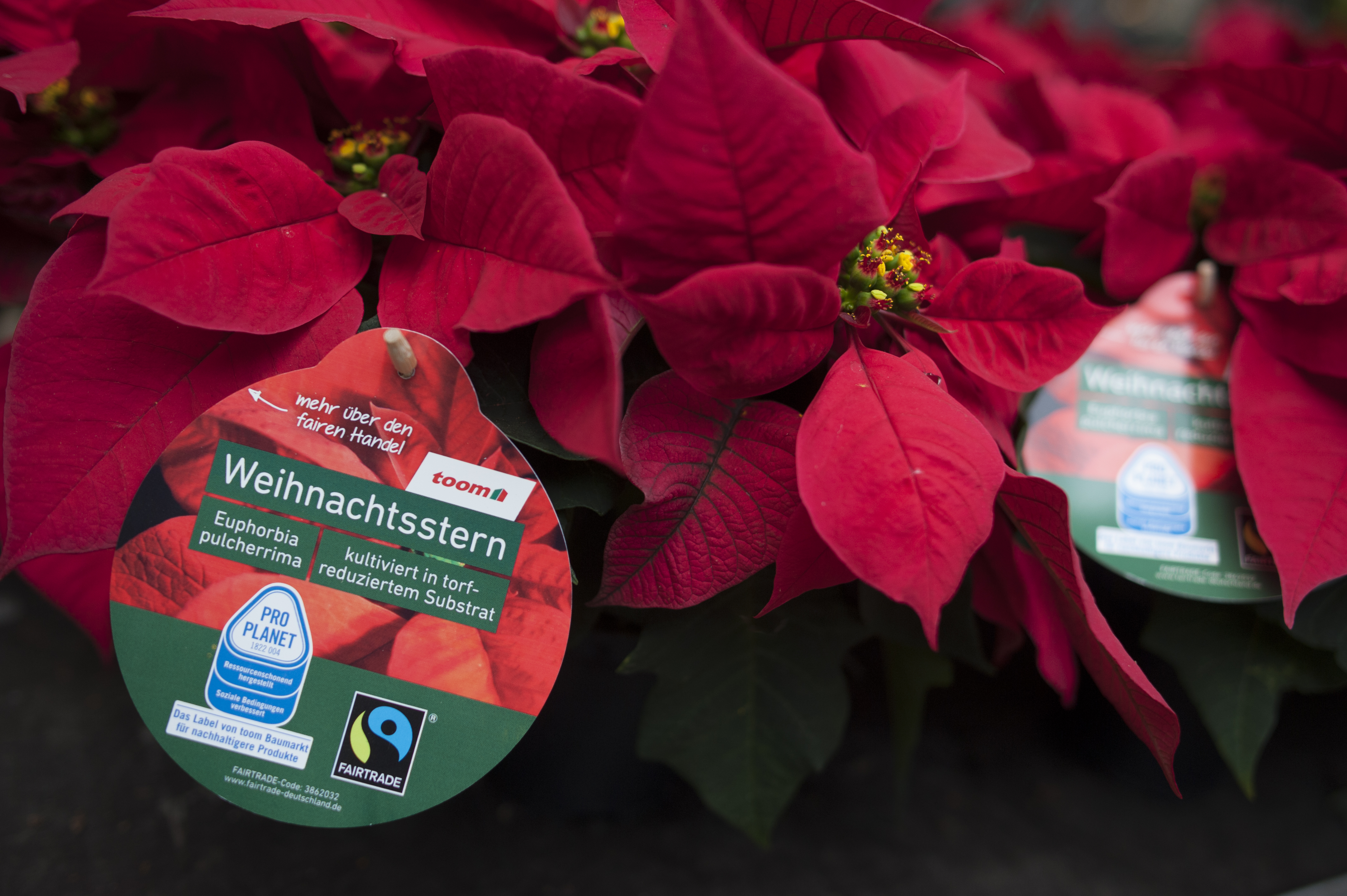 gardena bewässerung zimmerpflanzen Bewässerungsystem Gardena – Hochbeet Wilkes