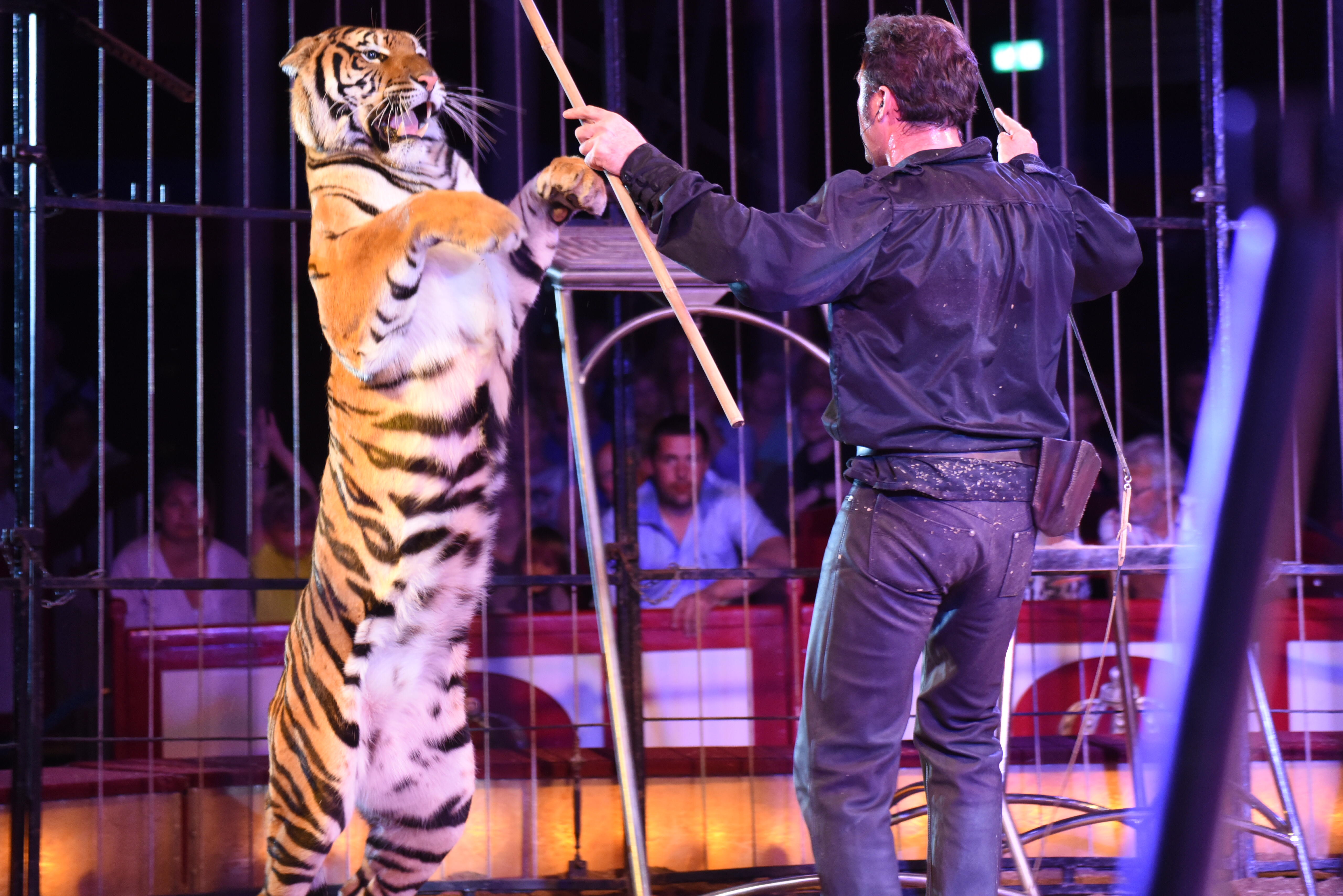 Zirkusfestival Monaco Zirkusfestival Monaco