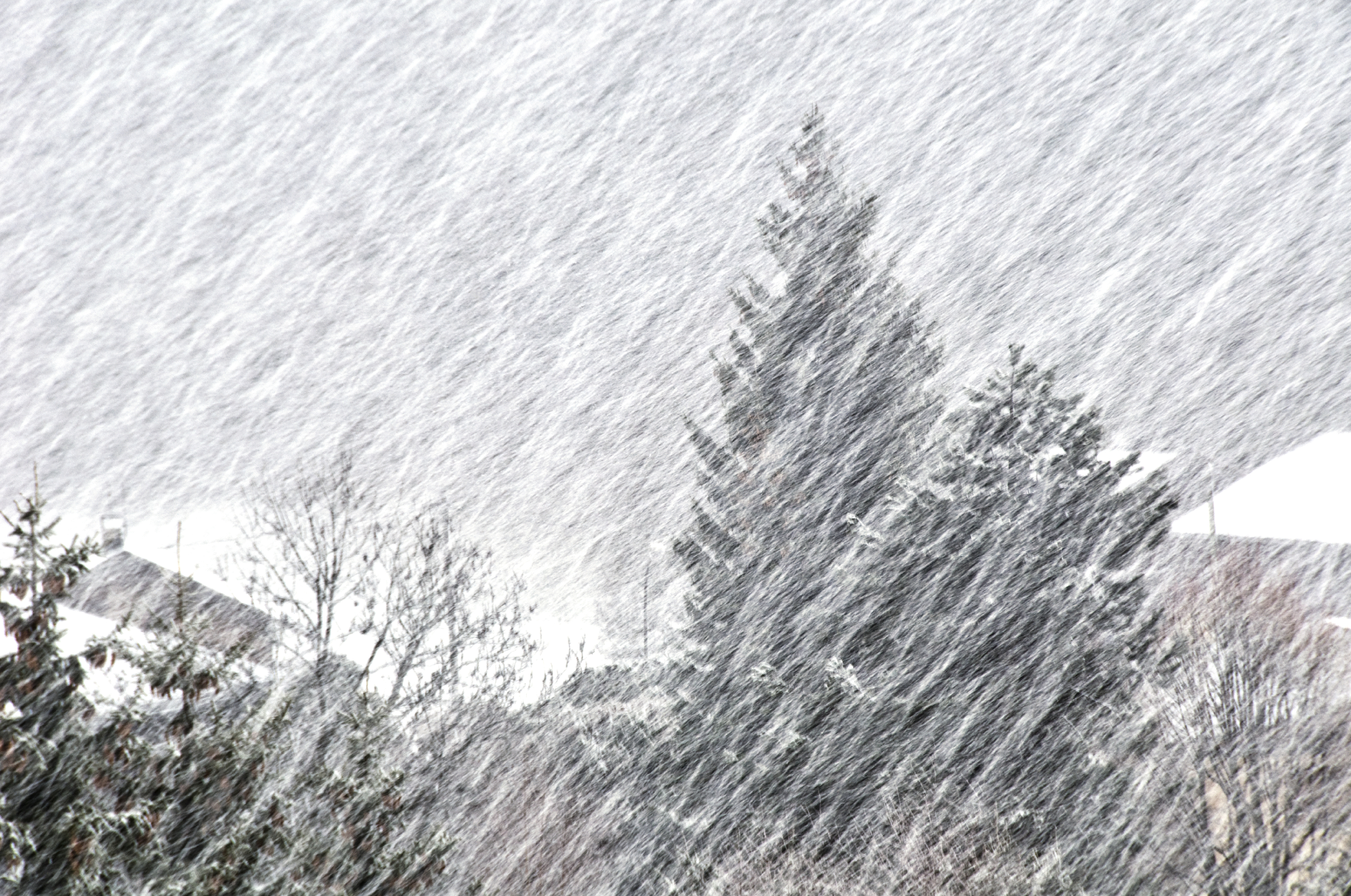 Раз на метель. Метель вьюга Пурга Буран. Снежная буря. Снежный ветер. Снегопад это явление природы.