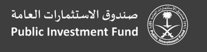 The Public Investment Fund