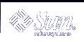 Sun Microsystems Inc.