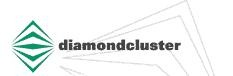 DiamondCluster International, Inc.
