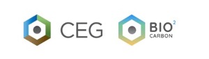 CEG (Clean Electricity Generation)