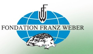 FONDATION FRANZ WEBER