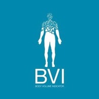 BVI America LLC