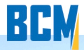 BCM Resources Corp.