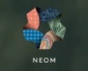 NEOM Tech & Digital