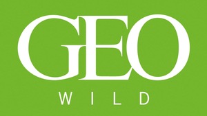 GEO WILD