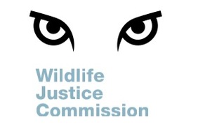 The Wildlife Justice Commission