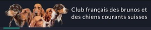 Club Français des Brunos et des Chiens Courants Suisses
