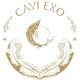 CAVI EXO