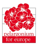 Pelargonium for Europe