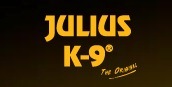 JULIUS K9 Team