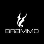 Brammo, Inc.