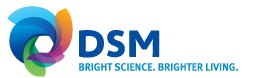 DSM