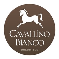 Cavallino Bianco Family Spa Grand Hotel