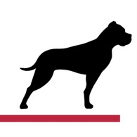 GP Bullhound GmbH