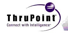 ThruPoint Inc