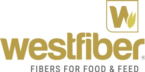 westfiber GmbH