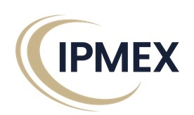 Institut für Projektmanagement-Exzellenz