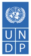Entwicklungsprogramm der Vereinten Nationen (UNDP)