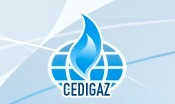 CEDIGAZ