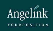 Angelink yourposition GmbH