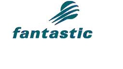 The Fantastic Corporation