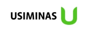 Usinas Siderurgicas de Minas Gerais S.A. - USIMINAS
