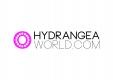 Hydrangea World