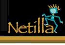 Netilla Networks, Inc.