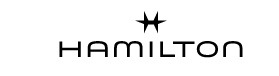 Hamilton International Ltd